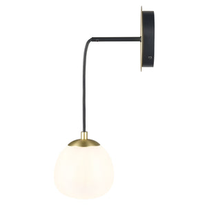 Black/Brass/White