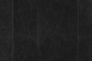 Onyx Black