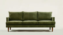 Load image into Gallery viewer, Distressed Green Velvet

