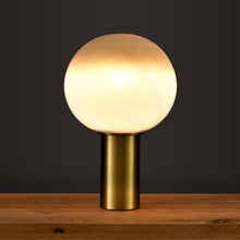 Load image into Gallery viewer, Brushed Brass/Ovate
