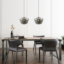 Load image into Gallery viewer, Satin Nickel/Smokey
