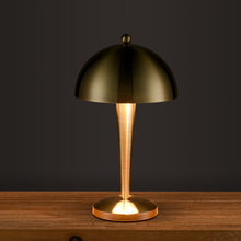 Load image into Gallery viewer, Antique Bronze
