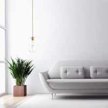 Load image into Gallery viewer, Brushed Brass/Clear
