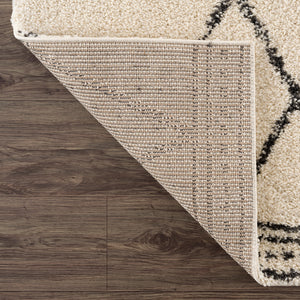 Vanilla Biscotti/5'x8'